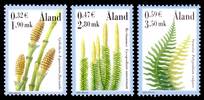 Click For Larger Representative Image