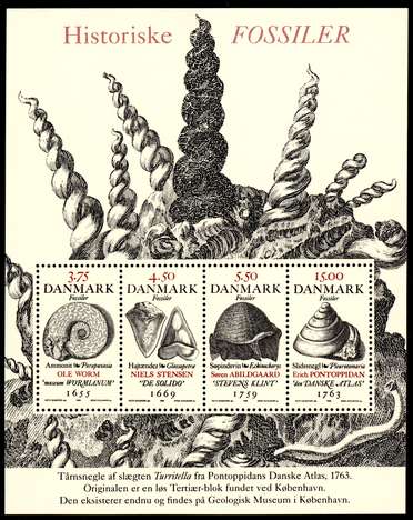 Click For Larger Representative Image