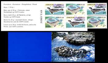 Click For Larger Representative Image