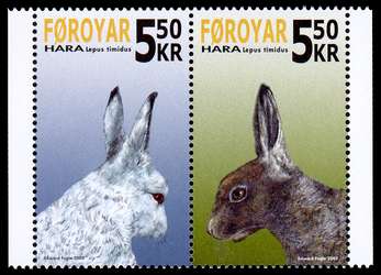 Click For Larger Representative Image