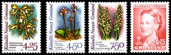 Click For Larger Representative Image