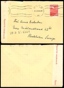 Click For Larger Exact Image