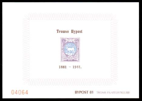Click For Larger Representative Image