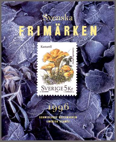 Click For Larger Representative Image