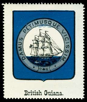 Click For Larger Representative Image