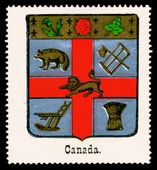 Click For Larger Representative Image