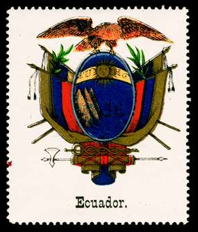 Click For Larger Representative Image