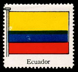 Click For Larger Representative Image