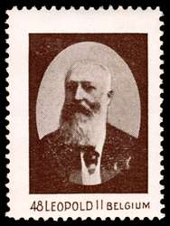 Click For Larger Representative Image