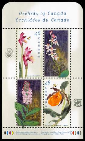 Click For Larger Representative Image