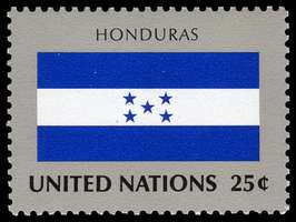 Click For Larger Representative Image