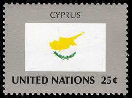 Click For Larger Representative Image