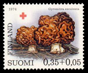 Click For Larger REPRESENTATIVE Image