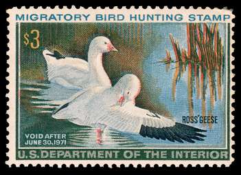 Click For Larger EXACT ACTUAL Image