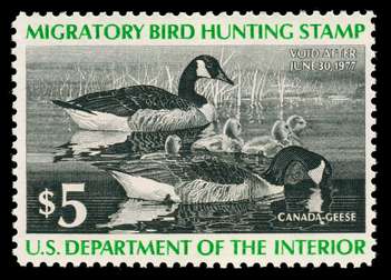 Click For Larger EXACT ACTUAL Image