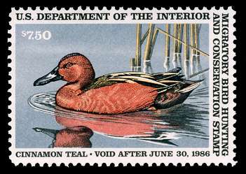 Click For Larger Exact Image