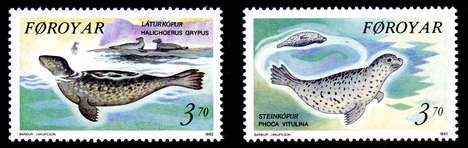 Click For Larger REPRESENTATIVE Image