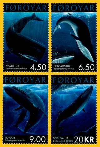 Click For Larger REPRESENTATIVE Image