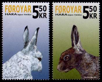 Click For Larger REPRESENTATIVE Image