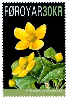 Click For Larger REPRESENTATIVE Image