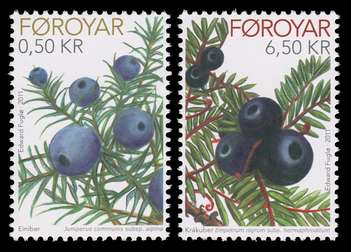 Click For Larger REPRESENTATIVE Image