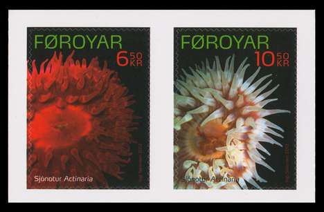 Click For Larger REPRESENTATIVE Image