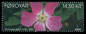 Click For Larger REPRESENTATIVE Image