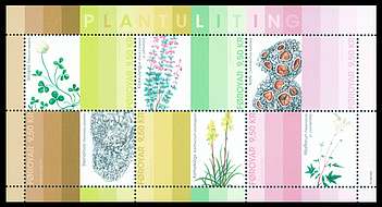 Click For Larger REPRESENTATIVE Image