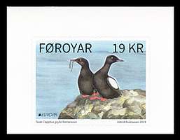 Click For Larger REPRESENTATIVE Image