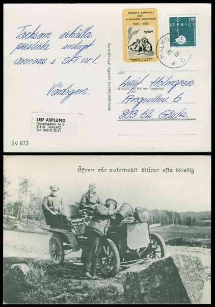 Click For Larger EXACT ACTUAL Image