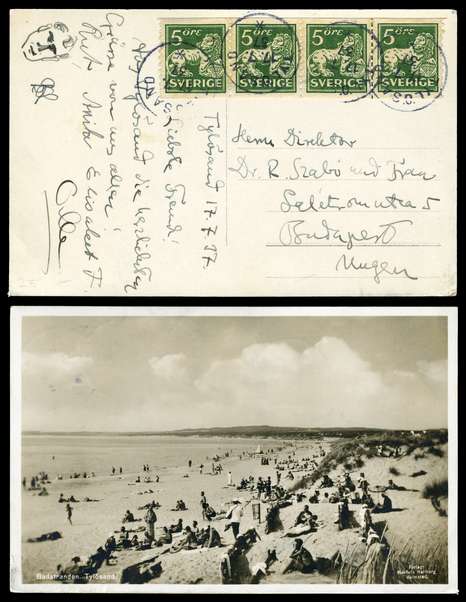Click For Larger EXACT ACTUAL Image