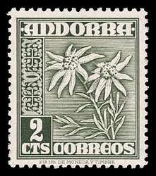 Click For Larger REPRESENTATIVE Image