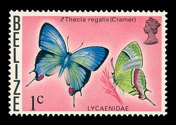 Click For Larger REPRESENTATIVE Image
