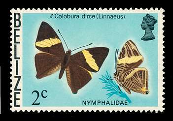 Click For Larger REPRESENTATIVE Image