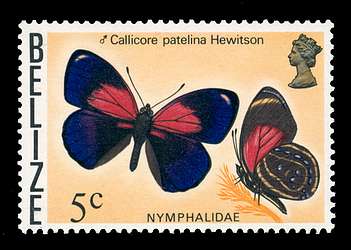 Click For Larger REPRESENTATIVE Image