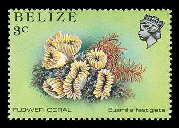 Click For Larger REPRESENTATIVE Image