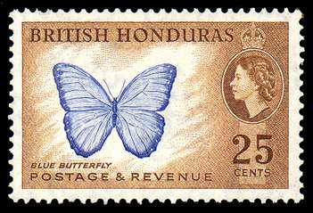 Click For Larger REPRESENTATIVE Image