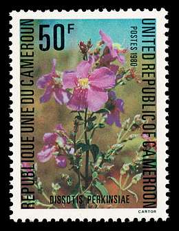 Click For Larger REPRESENTATIVE Image