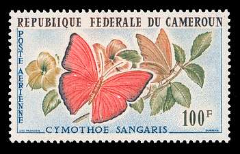 Click For Larger REPRESENTATIVE Image