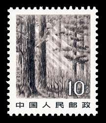 Click For Larger REPRESENTATIVE Image