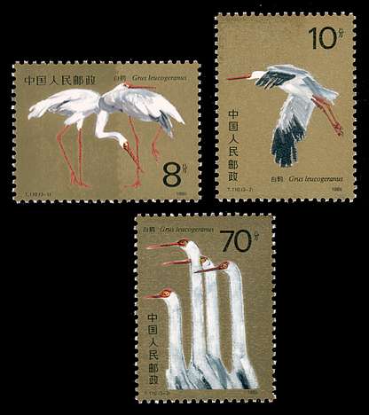 Click For Larger REPRESENTATIVE Image