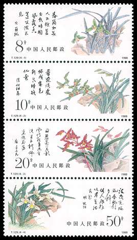Click For Larger REPRESENTATIVE Image