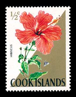 Click For Larger REPRESENTATIVE Image