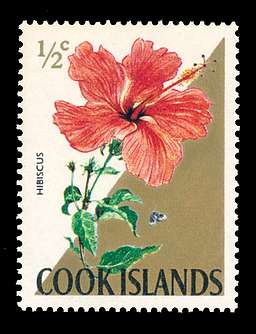 Click For Larger REPRESENTATIVE Image