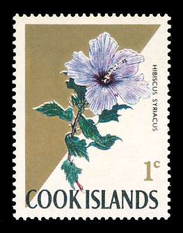 Click For Larger REPRESENTATIVE Image