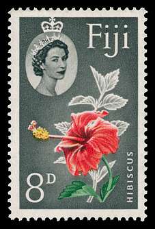 Click For Larger REPRESENTATIVE Image