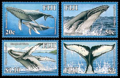 Click For Larger REPRESENTATIVE Image