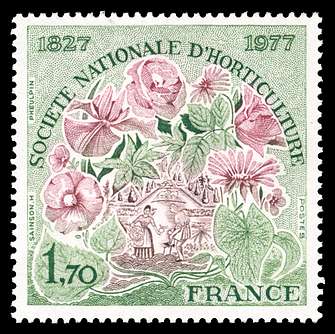 Click For Larger REPRESENTATIVE Image