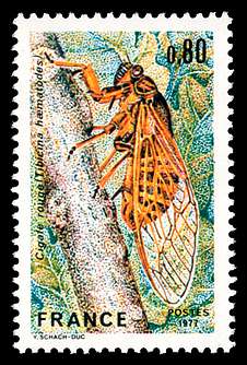 Click For Larger REPRESENTATIVE Image