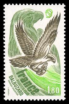 Click For Larger REPRESENTATIVE Image